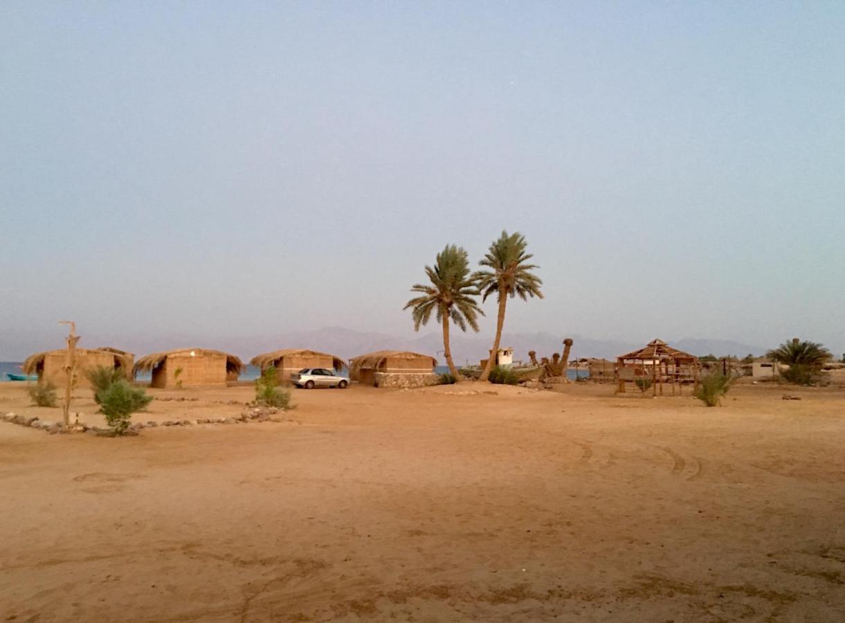 ホテル Sina Star Camp Nuweiba` エクステリア 写真